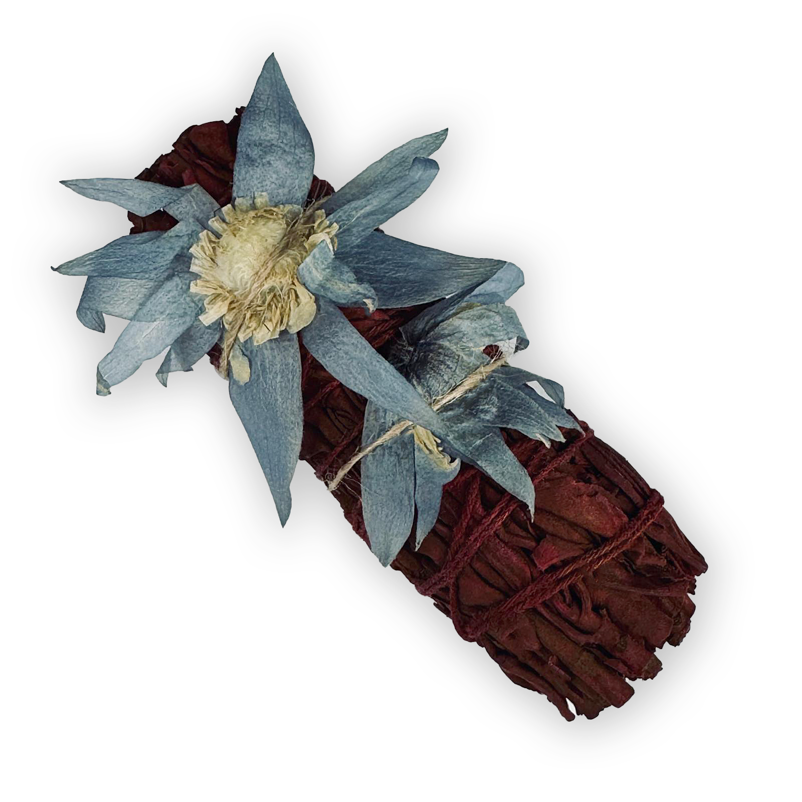 Dragon's Blood w Pressed Clematis - 4"