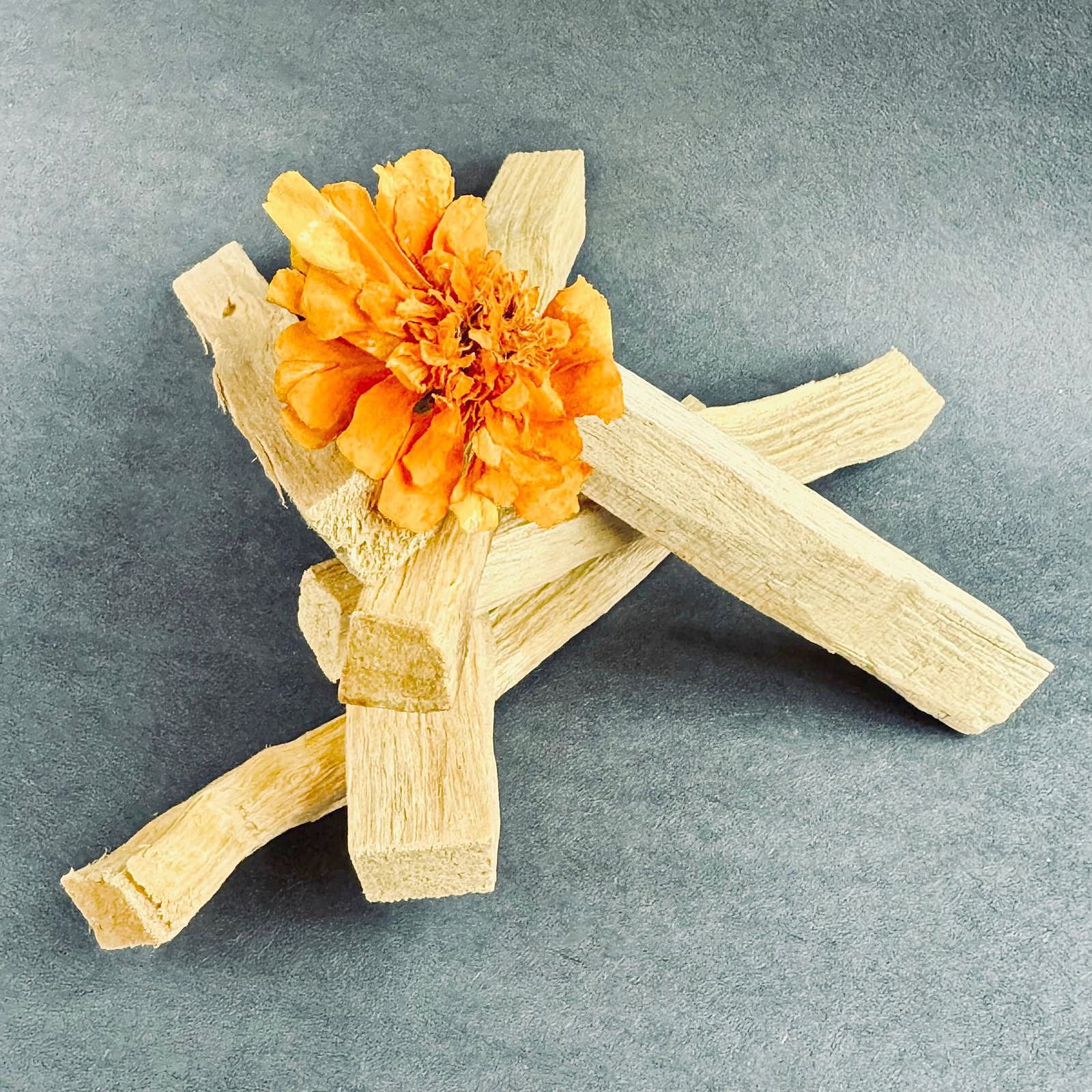 Palo Santo - 4" (Qty 1)
