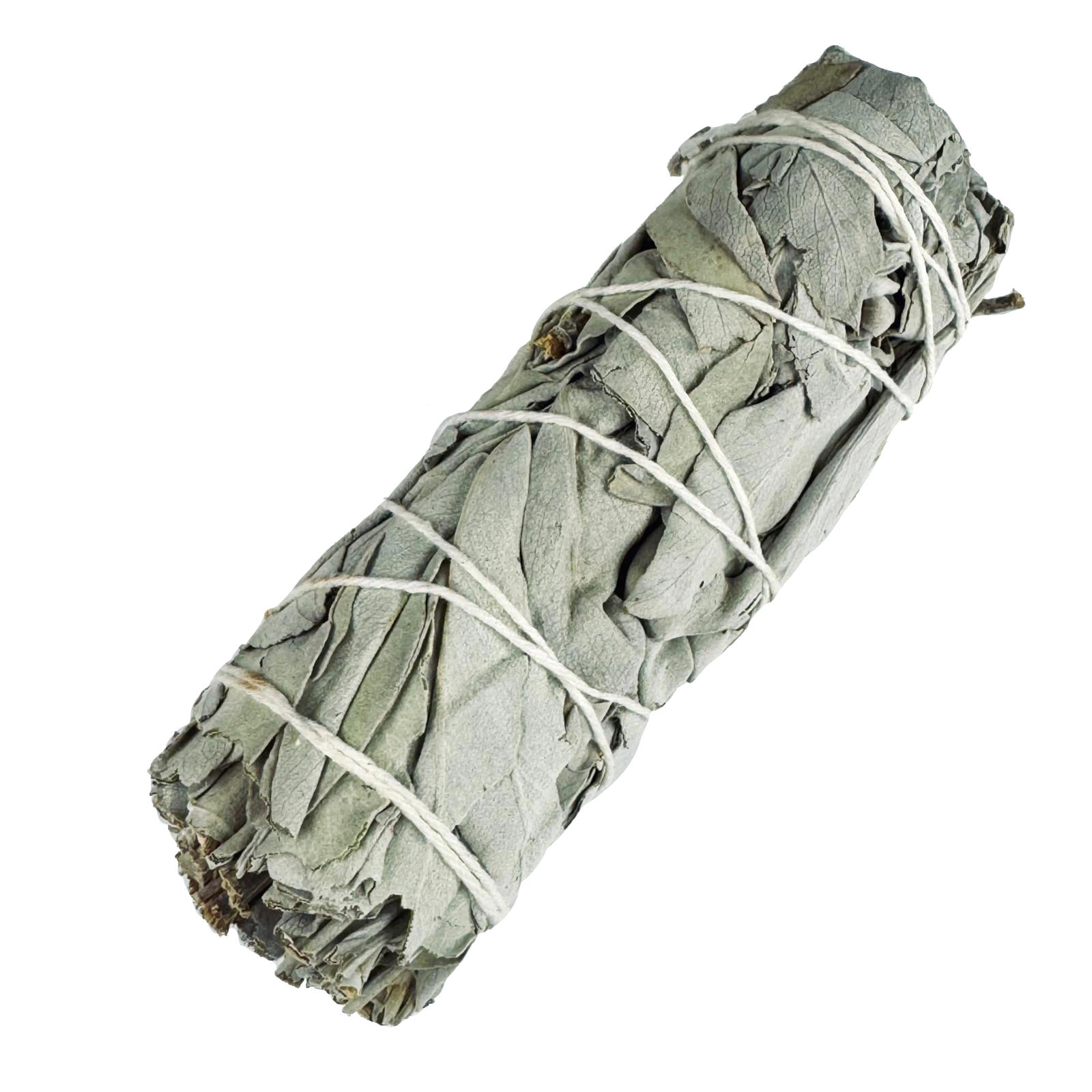White Sage Bundle - 4"