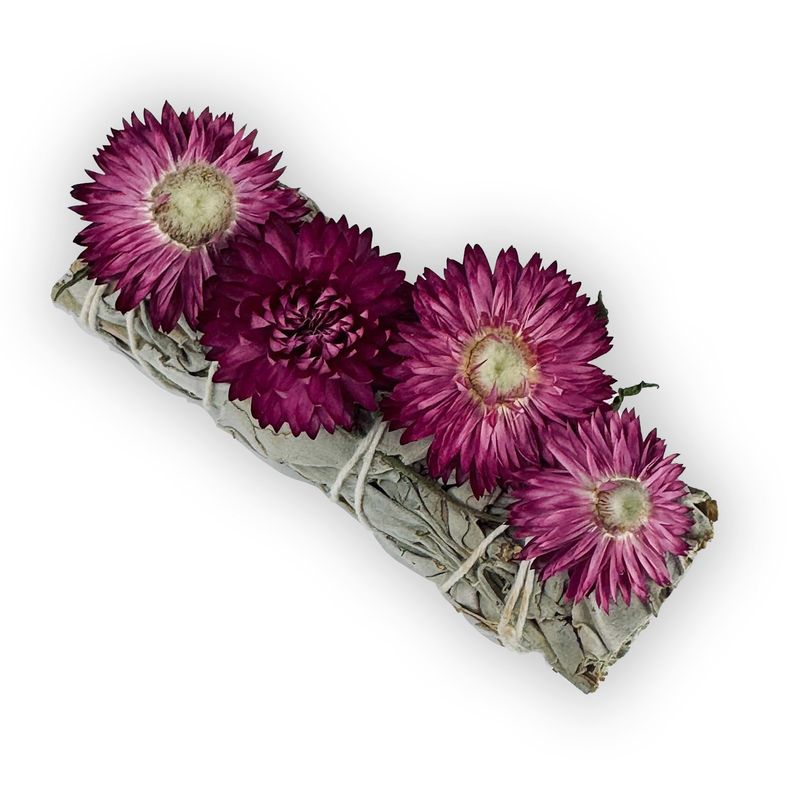 Undead Bundle - 4"